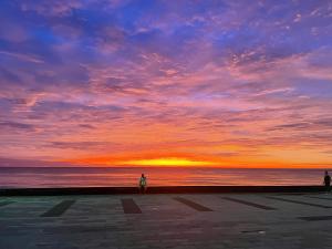 Naturlandskabet i nærheden af pensionatet