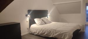 een slaapkamer met een wit bed met 2 kussens bij Gîte L'hôtellerie in Trévron