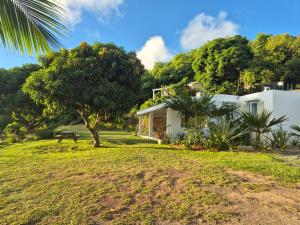 a white house with a tree in the yard at Villa detente 1 in Saint Gabriel