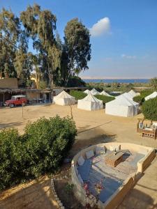 a group of tents in a dirt field with trees at Tunis Tone Ecolodge & Campsite in Fayoum Center