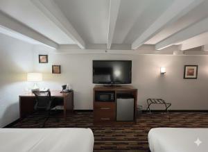 TV a/nebo společenská místnost v ubytování Country Inn & Suites by Radisson, Battle Creek, MI