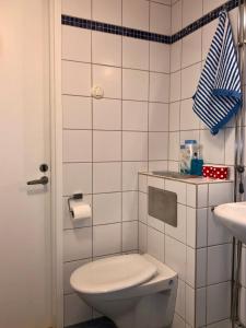 Phòng tắm tại Savonniemen loma-asunto