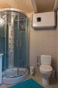 a bathroom with a shower and a toilet at Znamirówka in Znamirowice +29 photos