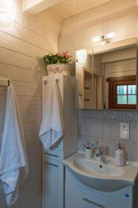 a bathroom with a sink and a mirror at Znamirówka in Znamirowice