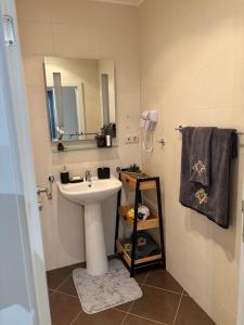 Et badeværelse på Chamkoria Borovets luxury apartment view