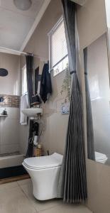 比勒陀利亚Thorne's crip的带马桶和浴帘的浴室