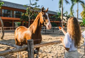 Een jong meisje voert een paard achter een hek. bij Niran Farm in Koh Lone