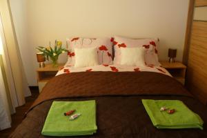 Cama o camas de una habitación en Apartament Bella Nova Centrum