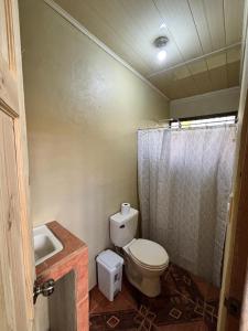 een badkamer met een toilet, een wastafel en een douche bij Cabaña La Conquista in Sarapiquí +12 foto's