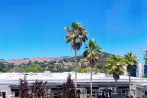 a group of palm trees in front of a building at Marin Hilltop Hotel in San Rafael