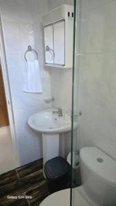 een kleine badkamer met een wastafel en een toilet bij 4 vecinos in Santiago de los Caballeros