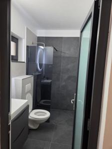ein kleines Badezimmer mit Toilette und Dusche in der Unterkunft Pensiunea Dariana in Bucium-Sat