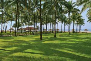 a group of palm trees in a grass field at Blue Ocean The Fern Resort & Spa Ganpatipule, Series by Marriott in Ganpatipule