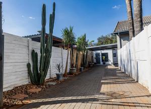 a sidewalk in a house with cactuses and a fence at Thorne's crip in Pretoria