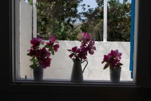 Vonkajšia záhrada v ubytovaní Villa Porto Ulisse