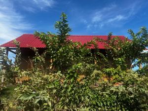 a house with a red roof behind some bushes at The Rustic Tree Farm in Thôn An Thạnh