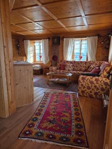 een woonkamer met een bank en een tapijt bij Meleres 11 in Cortina dʼAmpezzo +19 foto's