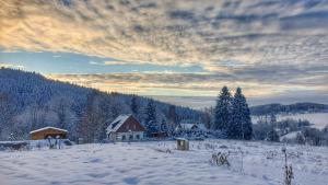 een met sneeuw bedekt veld met een huis en bomen bij Chaloupka u Rity in Bublava