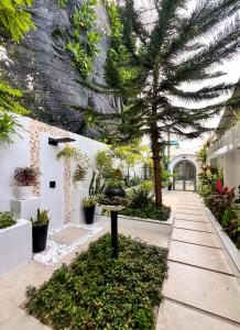 une cour avec un palmier et des plantes dans l'établissement Sosun View Private Villa, à Thoddoo