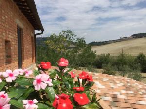 Fotografia z galérie ubytovania Agriturismo Marinello v destinácii Pienza
