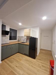 a kitchen with green cabinets and a black refrigerator at Modernes Apartment in Huttenberg