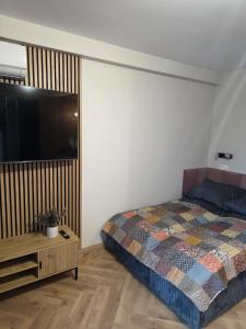 una camera da letto con un letto, una tv e un tavolo di Green Baltic Portovo Comfort Apartment City Center Balcony a Danzica