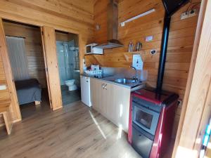 een keuken met een fornuis en een wastafel in een huisje bij Bungalows Nou Camping in Guingueta