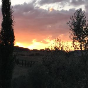 Príroda v okolí farmy