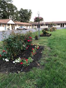 En have udenfor Smithpoint motel + 38 billeder