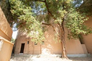 Ảnh trong thư viện ảnh của Sands Inn Hostel - Diriyah ở Riyadh