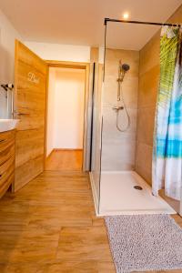 een badkamer met een douche en een wastafel bij FEWO 2 zur schönen Aussicht in Hinterschmiding