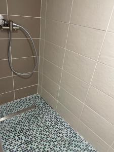 a bathroom with a shower with a tiled floor at Studio coquet proche de Lyon in Pont-de-Chéruy