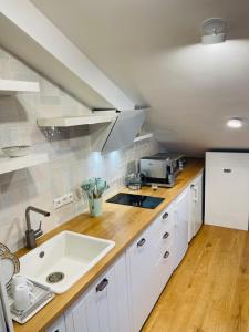 eine Küche mit Spüle und Arbeitsplatte in der Unterkunft Jūrmaris in Neringa + 26 Fotos
