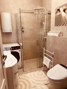 een badkamer met een douche, een toilet en een wastafel bij Jurmaris in Neringa