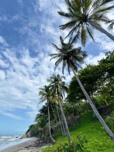 two palm trees on a beach near the ocean at Hostal Cilipo in Palomino