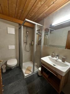 een badkamer met douche, wastafel en toilet bij Apartments Ausfernerhof in Ehrwald +52 foto's