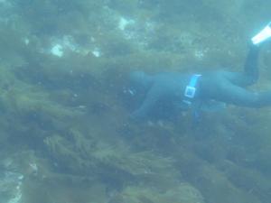 Photo de la galerie de l'établissement On The Cliff, à Karatsu