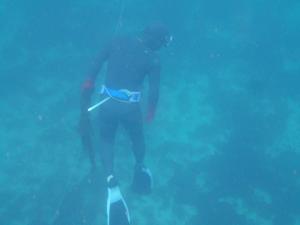 Photo de la galerie de l'établissement On The Cliff, à Karatsu