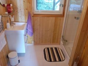 a small bathroom with a sink and a shower at Chata Eskymo in Staré Město