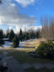 une vue d'une rivière avec de la neige au sol dans l'établissement Chata na Polane, à Otilia