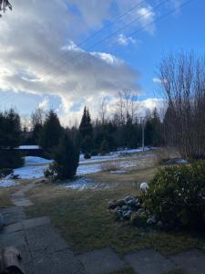vue d'une cour avec une rivière enneigée dans l'établissement Chata na Polane, à Otilia