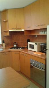 Η κουζίνα ή μικρή κουζίνα στο Quilén Apartment