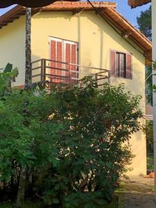 a small house with a tree in front of it at Pousada Porto Aventura - Chalés da Luci -Guaraú 13-98159-2115 in Peruíbe