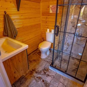 a bathroom with a toilet and a shower and a sink at Bugi Suit Bungalov in Erenköy +12 photos