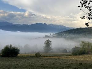 Naturlandskabet i nærheden af lejligheden