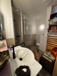 een badkamer met een witte wastafel en een douche bij Auszeit bei Katharina in Frauenstein +16 foto's