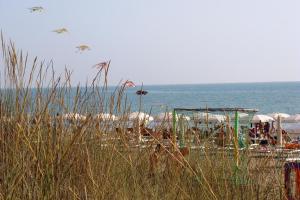Gallery image of Camping Principina in Principina a Mare