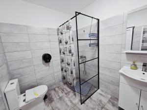 Et badeværelse på Vila Giulia Voineasa + 45 billeder