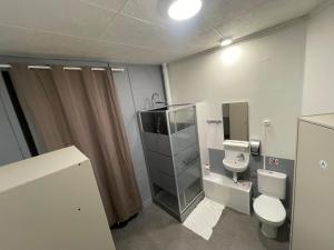 een badkamer met toilet en wastafel bij Le grand cerf Blain in Blain