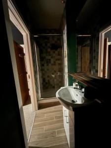 a bathroom with a sink and a shower at The Nook at Ballyward Croft in Ardkeen